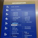 줌바 피트니스 | 대전 둔산동줌바 찾다가 발견한 바벨피트니스 둔산청사점 점핑다이어트 후기