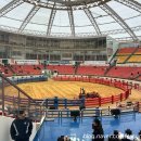 청도공영사업공사 | 청도여행 가볼만한곳 청도소싸움 초보자 꿀팁 상세후기 | 준비물 경기일정 입장료 우권구매 동물학대논란