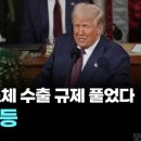 업트럼프글로벌