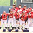 화정초교 이미지