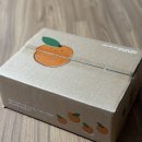 내기농장 | 서귀포감귤농장 서호리감귤밭 감귤체험