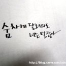 아트펜 캘리그라피 이미지