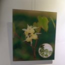 에코한방웰빙체험관 이미지