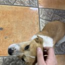 은행리낚시터 이미지