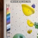 죠스클라이밍 | [클라이밍 보고서] 부산 동래구 사직동 죠스클라이밍짐 원정기 (이용후기, 리뷰)