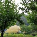 나비공원　 이미지