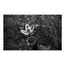 영이네농장 이미지