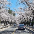 삼귀(중앙) 티스토리
