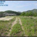 도리 회리 이미지