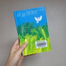 씨유어게인 | 씨유어게인 2026.05.29