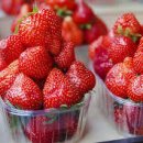 신선식품 이미지