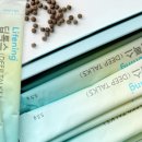 인셀덤팩토리