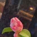 수원-0324 이미지