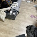 팔바자마라탕고대직영점 | 20230105~0129, 설 &amp; 경주여행 🐾