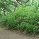 대궐고개 약수터 이미지