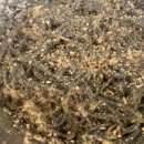 태백생선구이 이미지