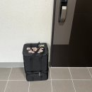 상사동로-25 | 구미 맛있는 도시락 배송 '푸드박스'