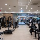 쏘마휘트니스 이미지