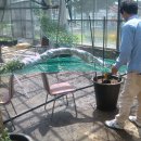 천안제일고등학교 이미지