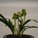 포항문화예술회관 이미지