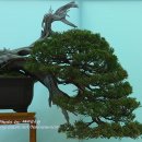 우리들의 아름다운 예술 티스토리