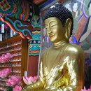 선원사 약사전 이미지