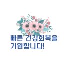 세명연합치과의원 티스토리