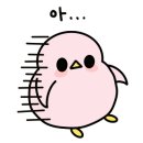 디데이스튜디오