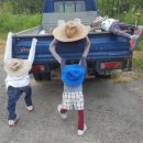 청살림영농조합법인 이미지