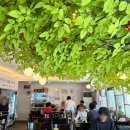 도투리 샤브칼국수 냉면 은평본점 이미지