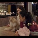 고양이민박 이미지