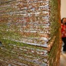 제주도립미술관 이미지