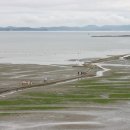 뜰앞바다 이미지