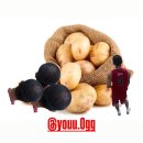 개빡센 하울링 시작