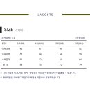 LACOSTE 스트라이프 긴팔 티셔츠 새상품 이미지