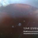 통큰소머리국밥 네이버블로그