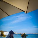 리틀미코노스6 이미지