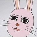 달빛고양이 이미지