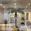 네일리브즈