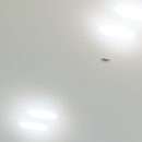 새빛미소치과의원 이미지