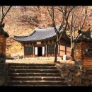 양산, 통도사와 무풍한송로의 맥문동 이미지