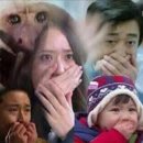 씨크릿민박 이미지