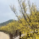 화전2리경로당 이미지