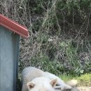 장수실버그린 이미지