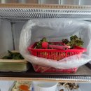 엘에이정육식당황지점 | 청주 삼겹살 맛집 내수 제일 맛있는 삼겹살 내돈내산