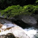 노량초등학교 이미지