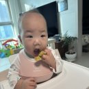 베베앙쥬 이미지