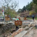 능금농장2 이미지