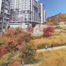 갈현1-020 네이버블로그