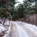 완주 편백숲 관광안내소 이미지